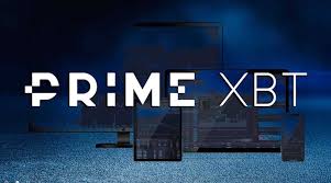 Essential Guide to PrimeXBT Contacts